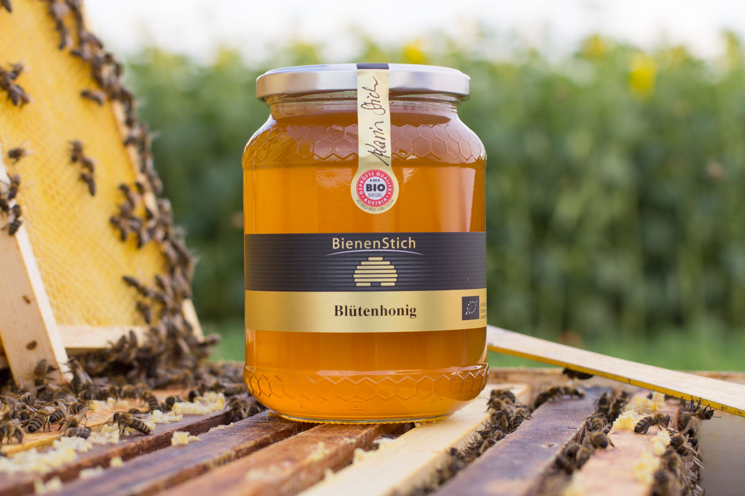 Blütenhonig-1kg-Bienenstich-Honig-biologisch-bio-Waldhonig-Blütenhonig-Österreich-Wien-Manhartsbrunn-Familie-Stich-Imker-Imkerei-Produktfoto-Biene-1
