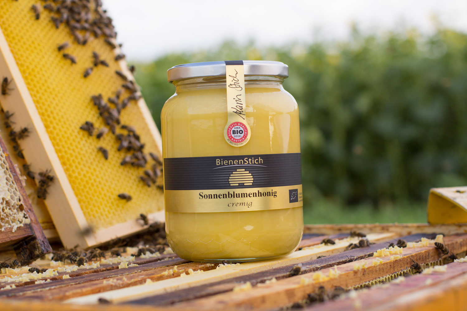 Sonnenblumenhonig-Cremehonig-1kg-Bienenstich-Honig-biologisch-bio-Waldhonig-Blütenhonig-Österreich-Wien-Manhartsbrunn-Familie-Stich-Imker-Imkerei-Produktfoto-Biene-1