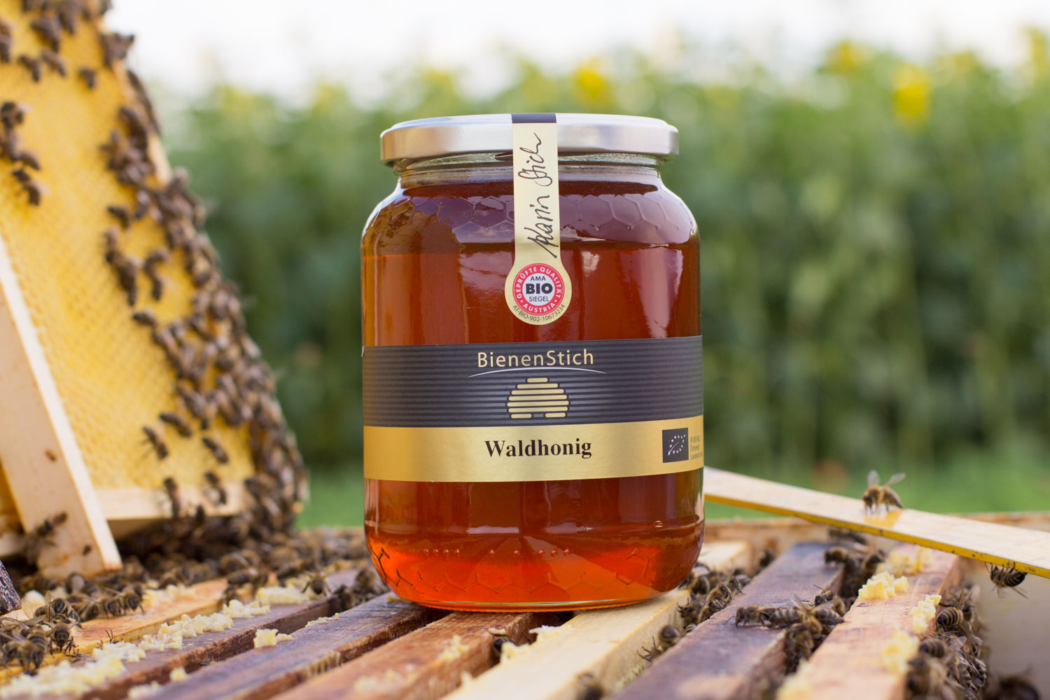 Waldhonig-1kg-Bienenstich-Honig-biologisch-bio-Waldhonig-Blütenhonig-Österreich-Wien-Manhartsbrunn-Familie-Stich-Imker-Imkerei-Produktfoto-Biene-1